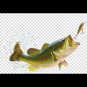 Meet your Posher, Brooks